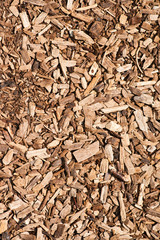 Wooden chips background close up. Used as an organic mulch in gardening, landscaping, restoration ecology, bioreactors for denitrification and as a substrate for mushroom cultivation.