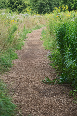 Wood chip trail in the National Wildlife sanctuary park.