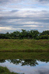 Cute landscape of lagoon and nature