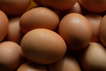 Huevos al rayo del sol