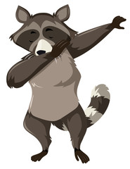 A raccoon dap on white background