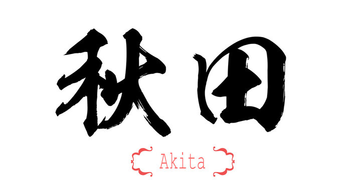 Calligraphy word of Akita in white background