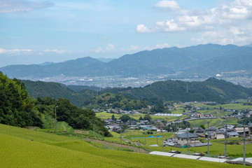 Fototapeta na wymiar Landscape of countryside,green rice fields and village,Toon city,Ehime,Shikoku,Japan