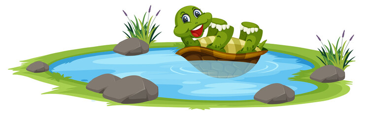 Turtle in the pond