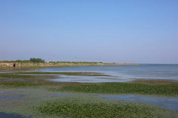 The wetland scenery of dongting lake in China