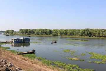 Fototapeta na wymiar The wetland scenery of dongting lake in China