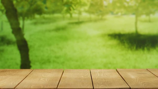 A bunny at the filming set. Standing on a plunk with green natural background