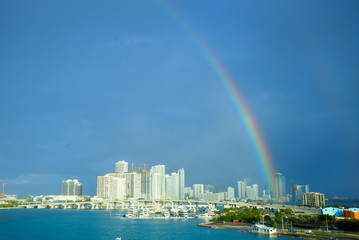 MIAMI RAINBOW