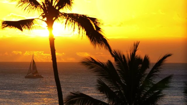 Sailing boat at the sunset in Hawaii in 4k