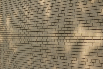 Tree shadows cast upon a neutral light brown modern brick wall background from low angle sunlight (angle view)
