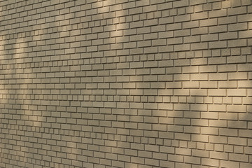 Tree shadows cast upon a neutral light brown modern brick wall background from low angle sunlight (angle view)