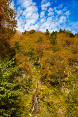 Arimine of autumn leaves season in Toyama Japan.  紅葉シーズンの有峰　日本 富山県富山市