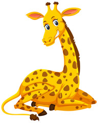 A cute giraffe on white background