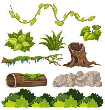 A set of forest elements