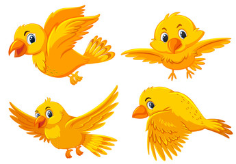Set of cute yellow birds