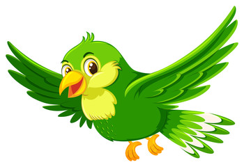 Cute flying green bird