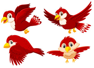 Set of cute red birds