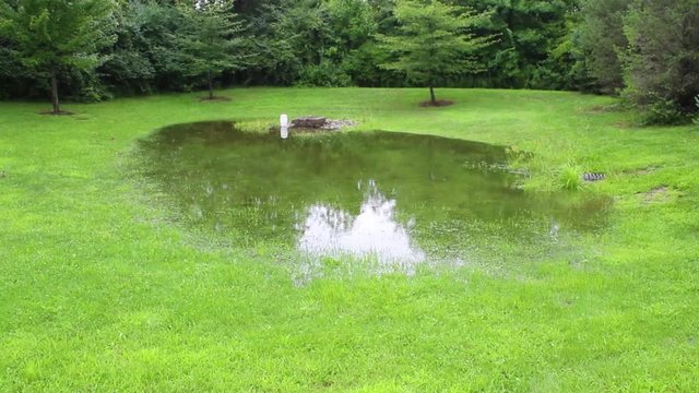 Flooding at a local park.
