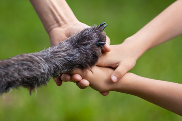 hands of family and paw of dog