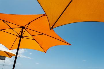 Orange Parasol with blue sky in Moorea Island, French Polynesia