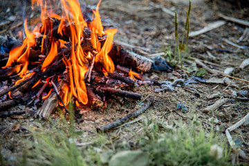 Beautiful campfire in the evening at lake. Fire burning in dusk at campsite