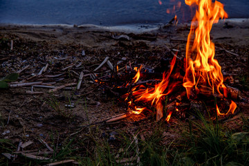 Beautiful campfire in the evening at lake. Fire burning in dusk at campsite