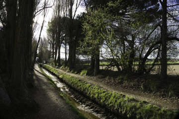 Obraz premium Acequia al atardecer