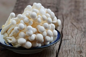 white mushroom in vintage dish on old rustic wood top table with copy space