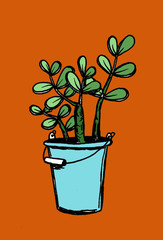  Green flower autumn cactus in a pot isolated on color and white