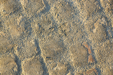 The texture and background of the sidewalk on the Place de la Concorde in Paris.