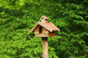 DIY, creative hand made wooden bird house/bird feeder with standing on a pole in a park
