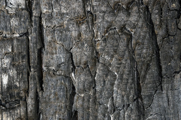 burnt wood texture