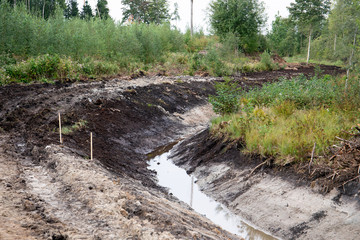system of drainage ditch in the woods for water colleting, green trees around