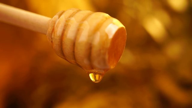 Footage organic honey dripping from wooden honey spoon background