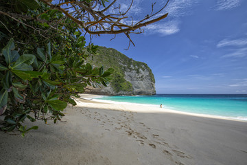 Footsteps disappear into the distance at Kelingking Beach on Nusa Penida in Indonesia. - obrazy, fototapety, plakaty