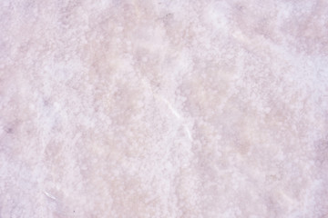 Salt bottom of the pink lake. Lake Burlinskoe, Altai Krai.