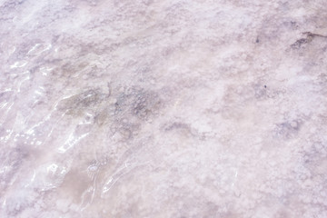 Fototapeta premium Salt bottom of the pink lake. Lake Burlinskoe, Altai Krai.