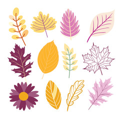 Autumn vector leaves set