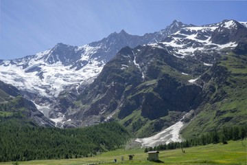 初夏のアルプス麓からの風景