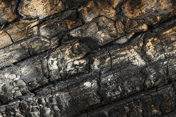 burnt wood texture