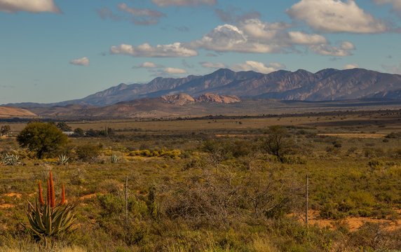 Karoo winter landscape with aloes in the Willowmore district in South Africa