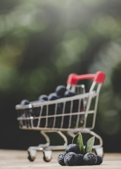 Fresh Organic Blueberries in mini Shopping Cart