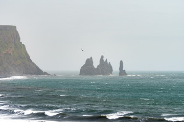 Three Atlantic Puffins circle the sea above the black sand beaches of Vik, with the Reynisdrangar sea stacks in the background on a misty summer day.