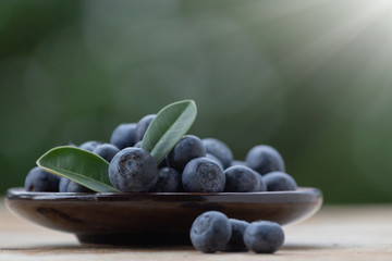 Fresh Organic Blueberries