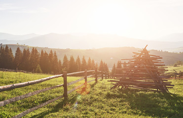 Obraz premium Beautiful summer mountain landscape at sunshine.View of the meadow fenced fence and cows grazing on it
