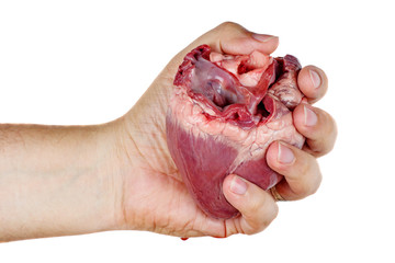 Hand hold raw pork heart