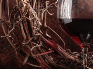 Fototapeta na wymiar Dried vine and glass of red wine on vintage background.