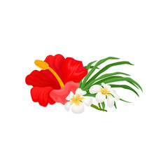 Beautiful tropical flower, hibiscus and frangipani flower vector Illustration on a white background