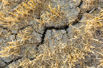 Close-up view from above of the cracked, dry soil in a field of wheat recently harvested in the french countryside.