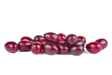 Cornels isolated on a white background